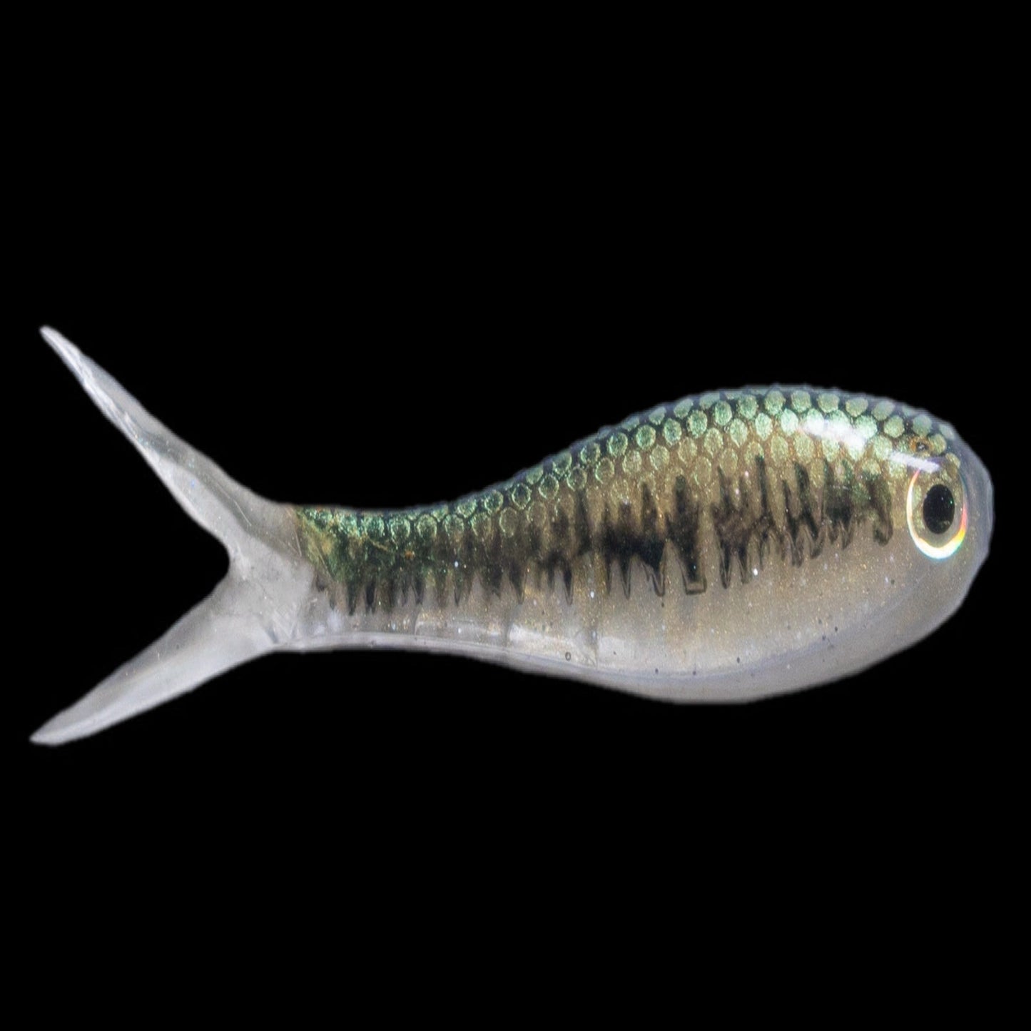 3'' Bait Fry