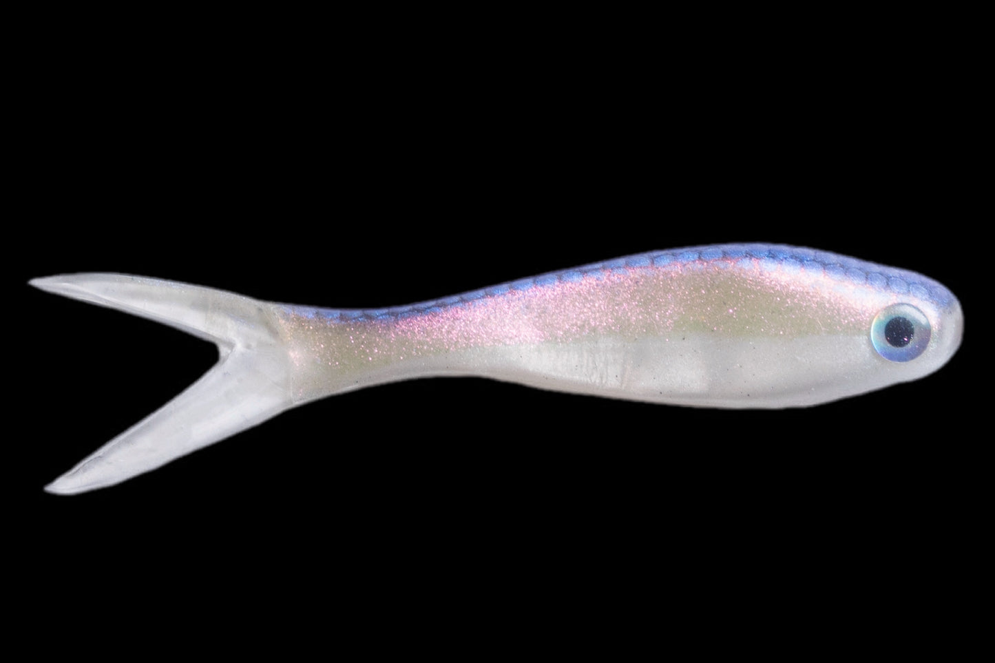 3'' Bait Fry