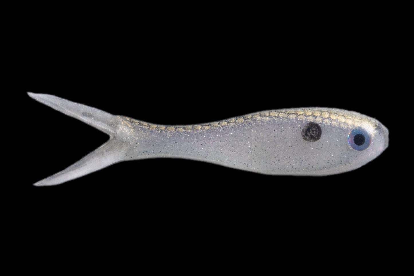 3'' Bait Fry